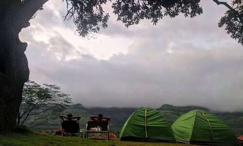 Morning mist tent camp